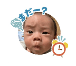458884555