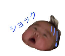 45891370