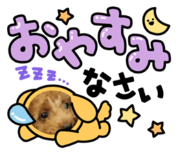 458985500