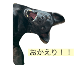 458990769