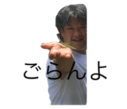 459132841