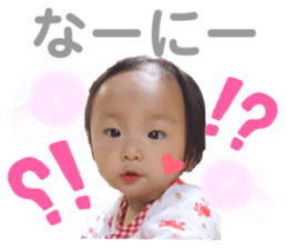 459206255