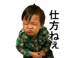 45920712