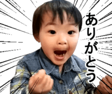 45920715