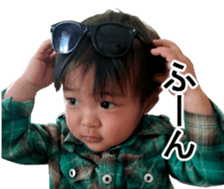 45920725