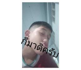 459328219