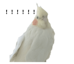 459328944