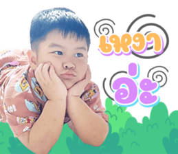 459335062