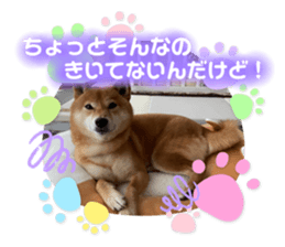 459397074
