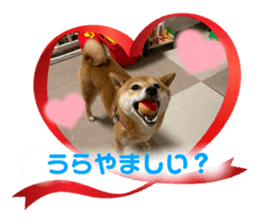 459397097