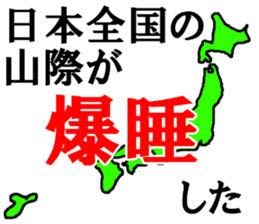459433842