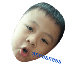 45948043
