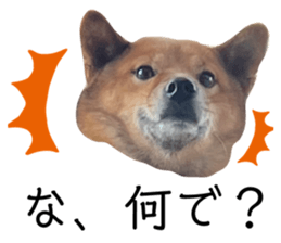 459568763