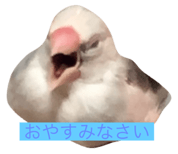 459617714