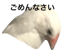 459617715