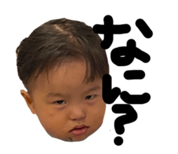 459618405