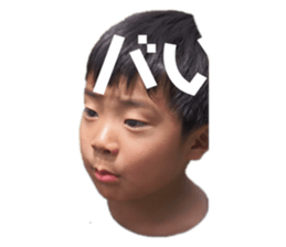 459676455