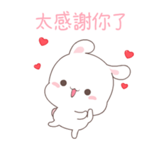 45977231