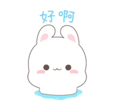 45977242