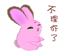 45979877