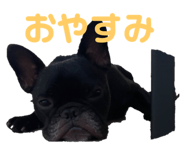 459871945