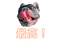 459871946