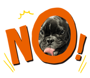 459871949