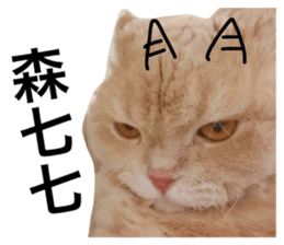 45988225