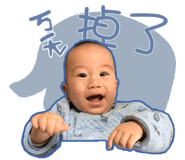 459920030