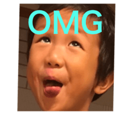 45992391