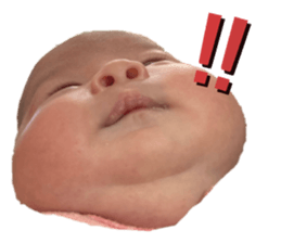459933778