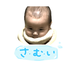 45993802