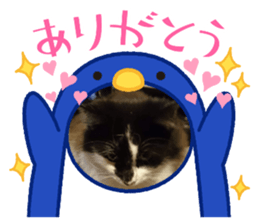 459943913