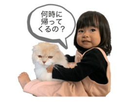 459944300