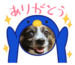 459948398