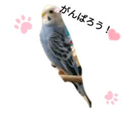 459968931
