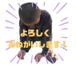 459982891