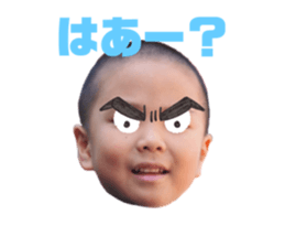 459982896