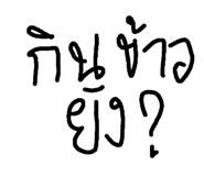 46016630