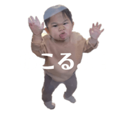 460228647