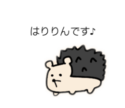 460460198
