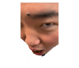 460488653