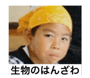 460596645