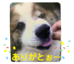 460637108