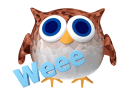 46071235