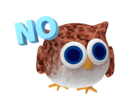 46071243