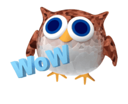 46071249