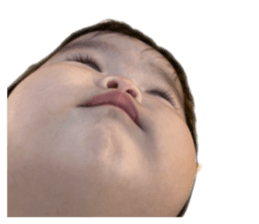 460770610
