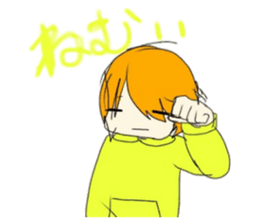 46087510