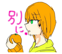 46087511
